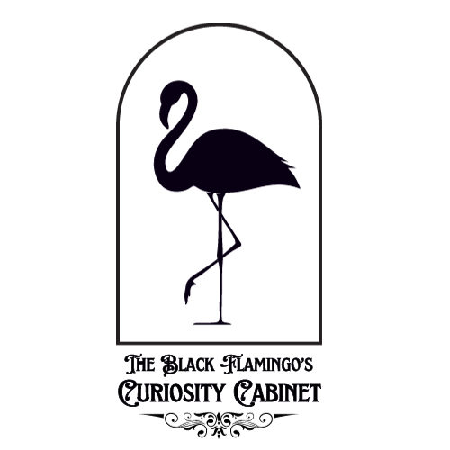 The Black Flamingos Curiosity Cabinet